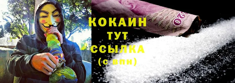 дарнет шоп  Белозерск  Cocaine VHQ 