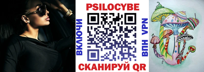 Галлюциногенные грибы Psilocybe  Белозерск 